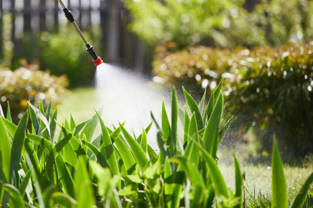 24/7 Emergency Wasp Removal experts in Byron, IL