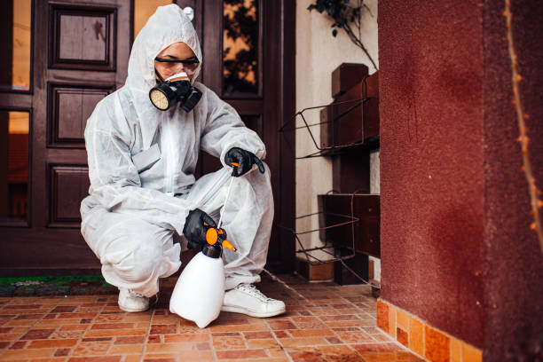 Reliable Wasp Removal contractor in Byron, IL by Show Me Pest Control